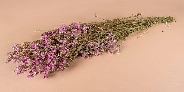 Limonium roze