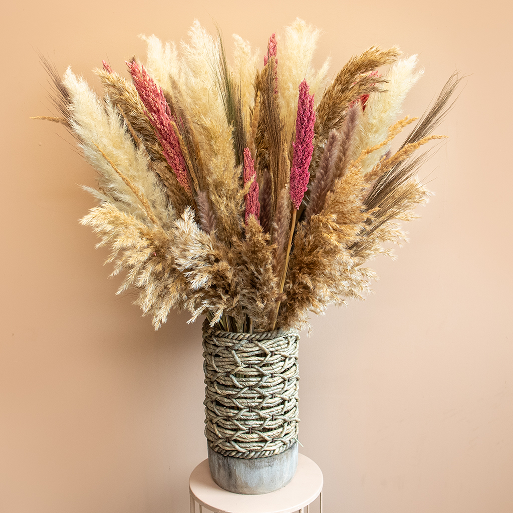 Pampas pluimen droogbloemen elif 1